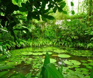 Jardín Botánico. Cortesía: IDT. Foto por David Gómez